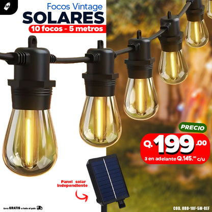 Focos Vintage Solares de 10 y 20 focos