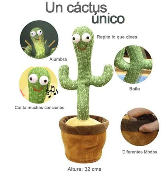 Cactus Musical Bailarin